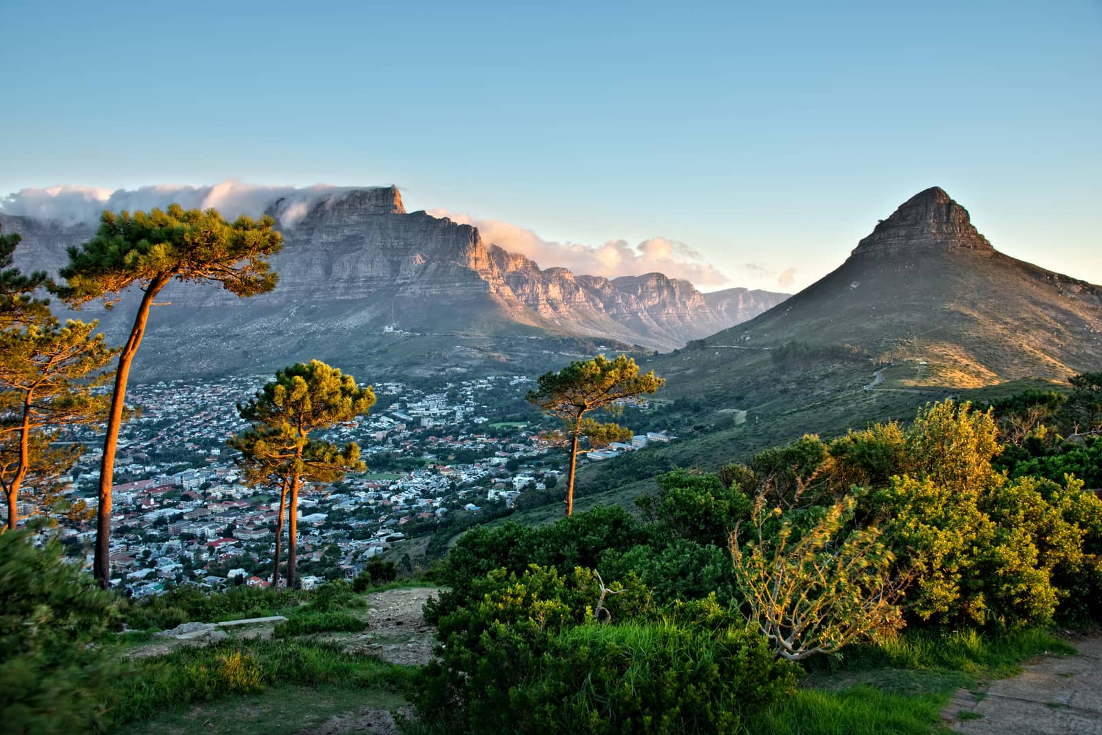 Blick vom Signal Hill über die City Bowl auf Tafelberg und Lion's Head