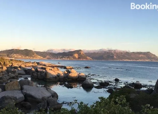Bosky Dell On Boulders Beach